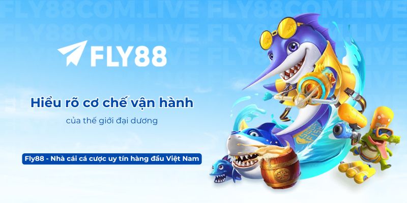 Hiểu rõ cơ chế vận hành của thế giới đại dương